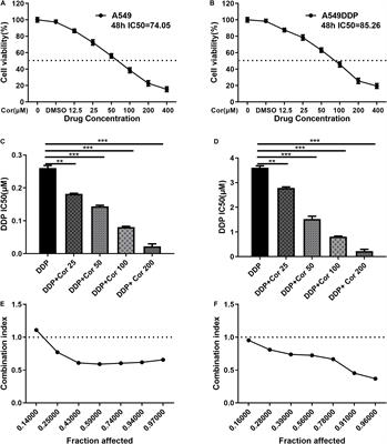 <mark class="highlighted">Cor</mark>dycepin Reverses Cisplatin Resistance in Non-small Cell Lung Cancer by Activating AMPK and Inhibiting AKT Signaling Pathway